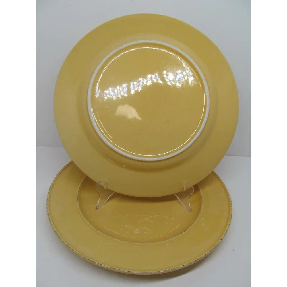 Pier 1 Mango Yellow Rustic 10 3/4